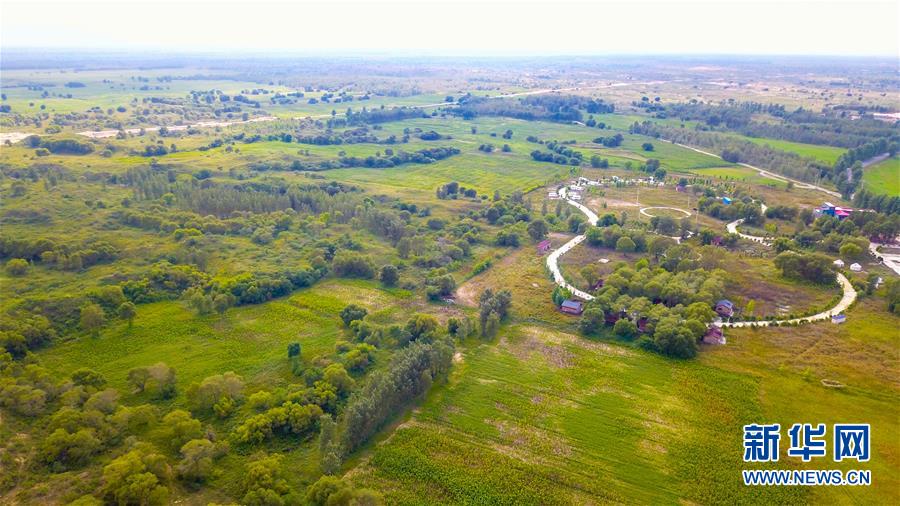 （在習近平新時代中國特色社會主義思想指引下&mdash;&mdash;新時代新作為新篇章&middot;習近平總書記關切事&middot;圖文互動）（1）綠意，在黃沙中鋪展&mdash;&mdash;我國防沙治沙紀實