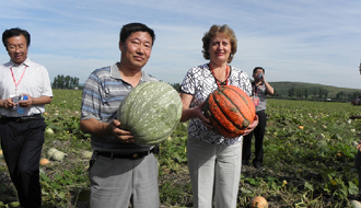 于海河圖啥？&mdash;&mdash;追尋黑土地上&ldquo;焦裕祿&rdquo;的民心足印