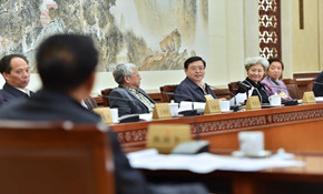 十二屆全國人大常委會第十一次會議分組會議