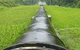 小水電代燃料生態保護工程建設背景