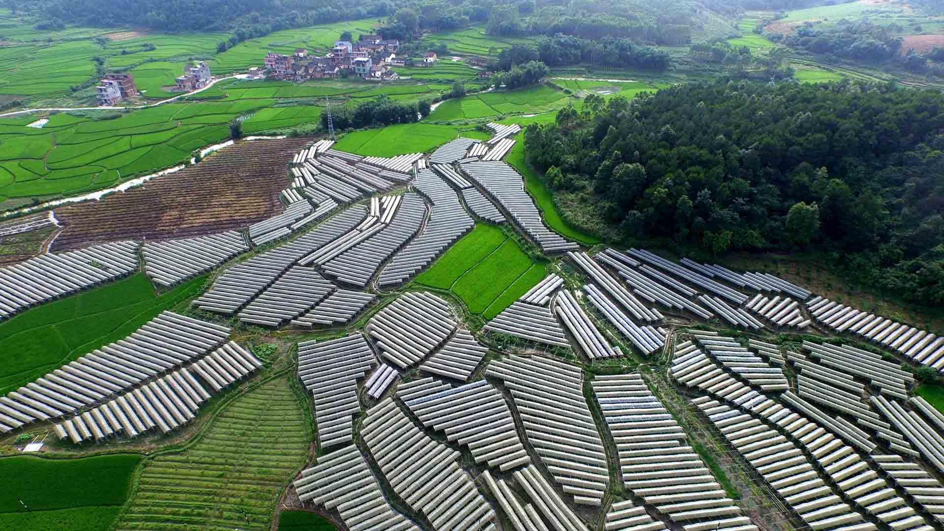 【建黨95周年&middot;光輝歷程】打贏脫貧攻堅戰(zhàn)