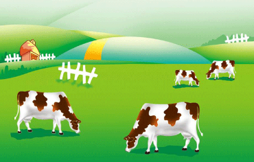 醬紫的內蒙古，約嗎