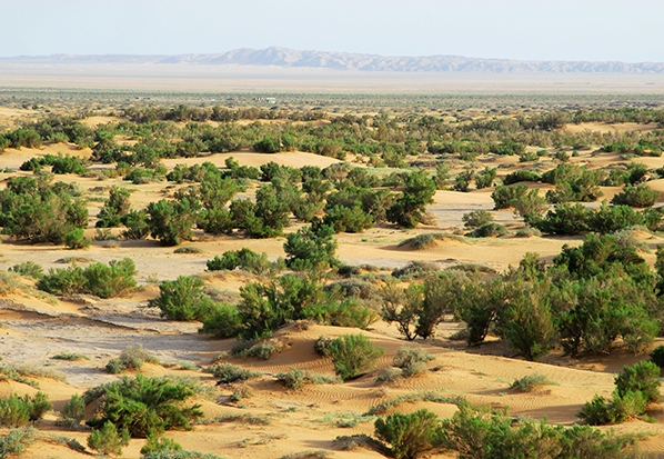 【長(zhǎng)篇通訊】塞罕壩,京城綠色屏障的前世今生