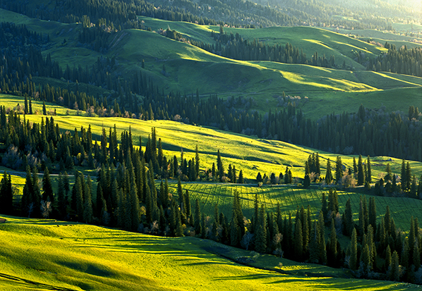 【長(zhǎng)篇通訊】塞罕壩,京城綠色屏障的前世今生