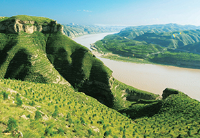 張建龍:“三北工程”實(shí)現(xiàn)生態(tài)、經(jīng)濟(jì)、社會(huì)效益“多贏”