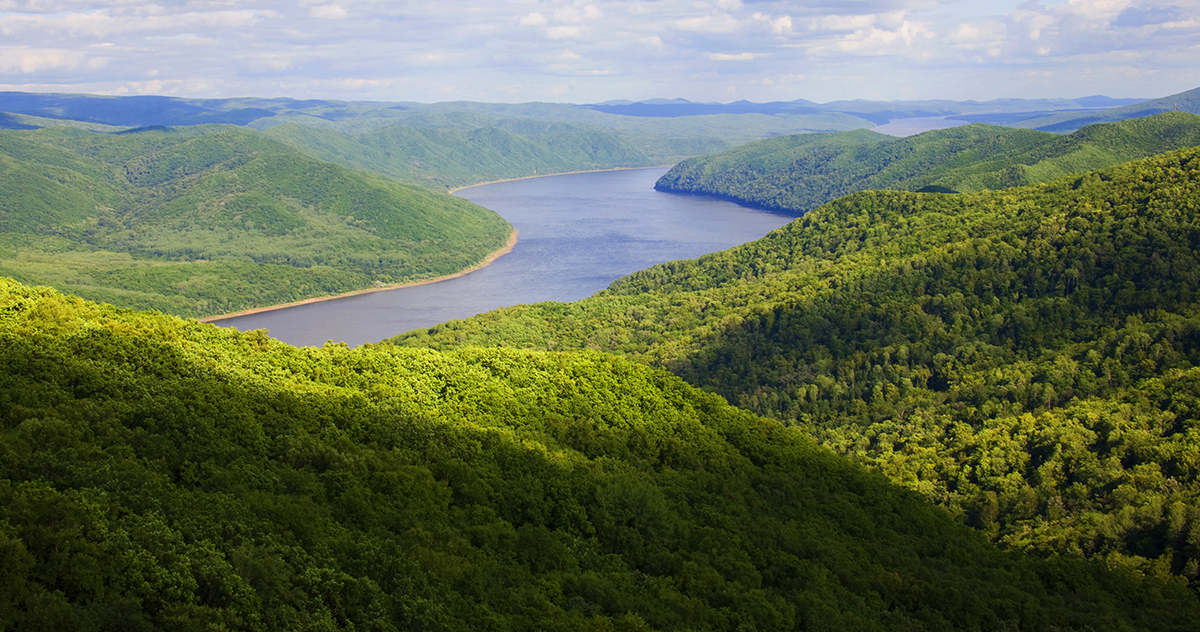張建龍:“三北工程”實(shí)現(xiàn)生態(tài)、經(jīng)濟(jì)、社會(huì)效益“多贏”