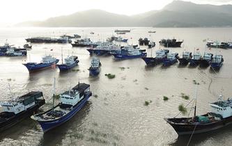 浙江蒼南：全力以赴應對臺風&ldquo;瑪莉亞&rdquo;