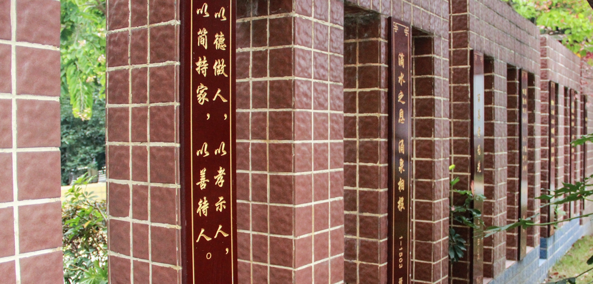 幸福感就藏在細(xì)節(jié)里&mdash;&mdash;四川綿陽(yáng)韓家脊社區(qū)的美好生活探索