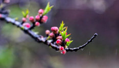 隨心而行，走走停停始終精彩。