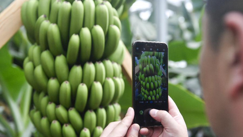 吉林萬昌現代農業發展先導區&ldquo;三變&rdquo;