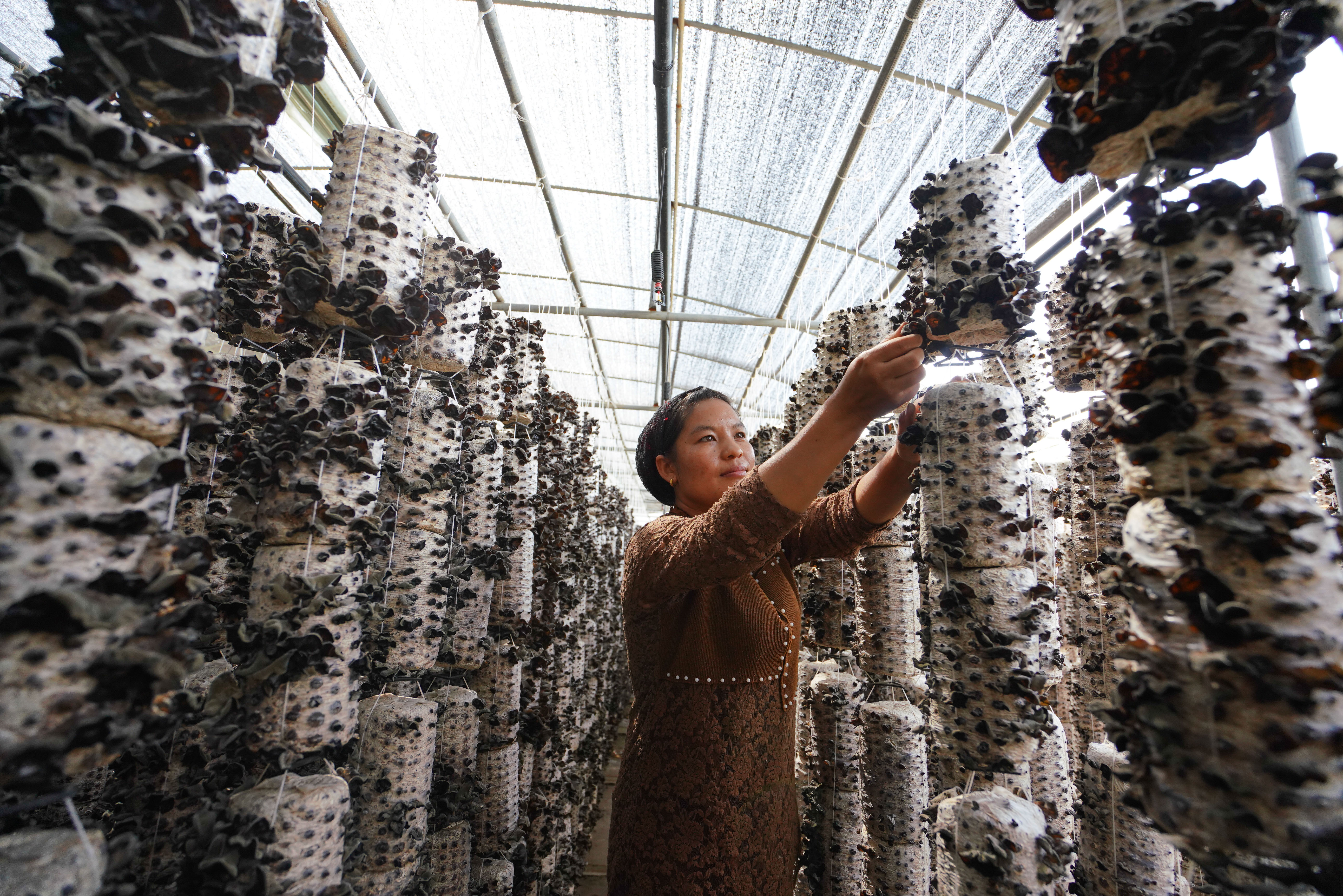 以沖刺的狀態(tài)跑出決勝的姿態(tài)&mdash;&mdash;&ldquo;三區(qū)三州&rdquo;甘肅深貧區(qū)脫貧攻堅(jiān)報告