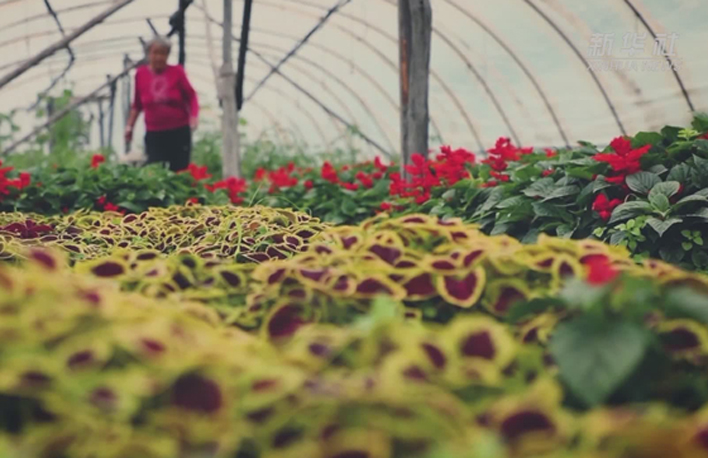 幸福來(lái)敲門(mén)丨多彩長(zhǎng)卷&middot;黑土地