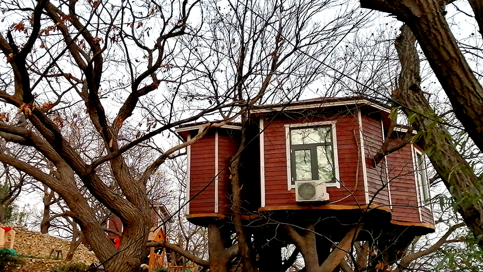 山東蒙陰：&ldquo;樹上&rdquo;的風(fēng)景