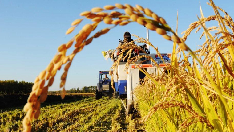 熱血沃黑土&mdash;&mdash;北大荒精神述評
