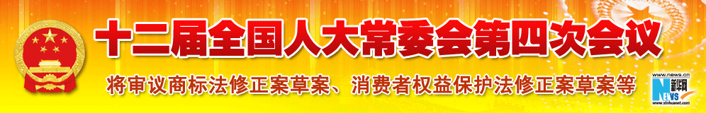 十二屆全國人大常委會(huì)第四次會(huì)議