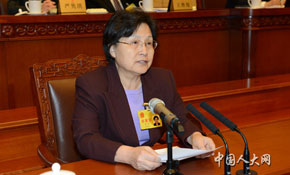 馬馼作關于個別代表的代表資格的報告