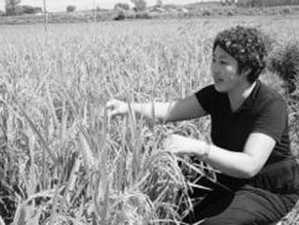 韓麗：帶領村民致富的先鋒