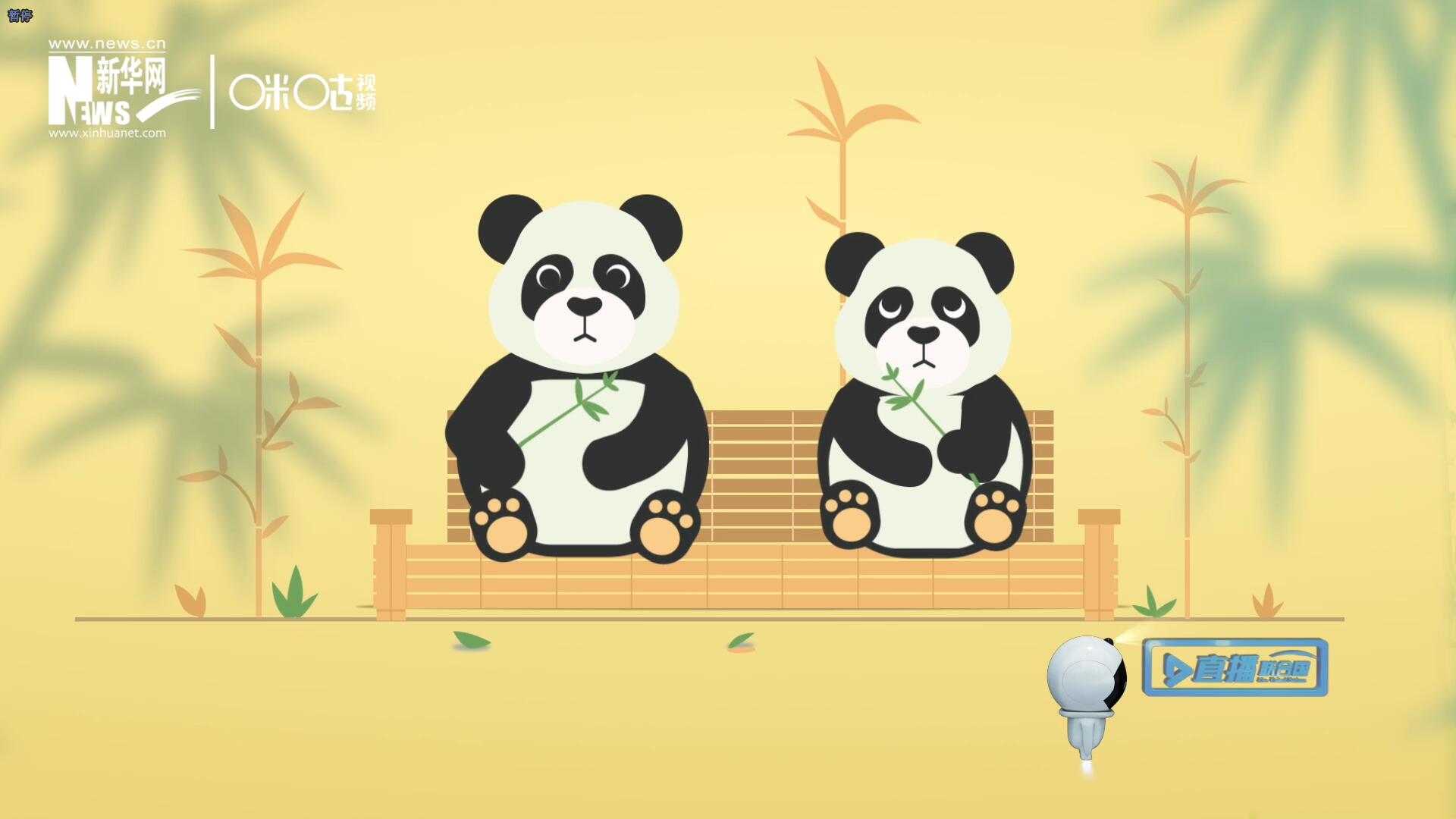 &ldquo;哥哥你看，又有人來看我們了。&rdquo;&ldquo;有什么奇怪的，我們可是聯(lián)合國&lsquo;最萌&rsquo;的大使啊！&rdquo;。