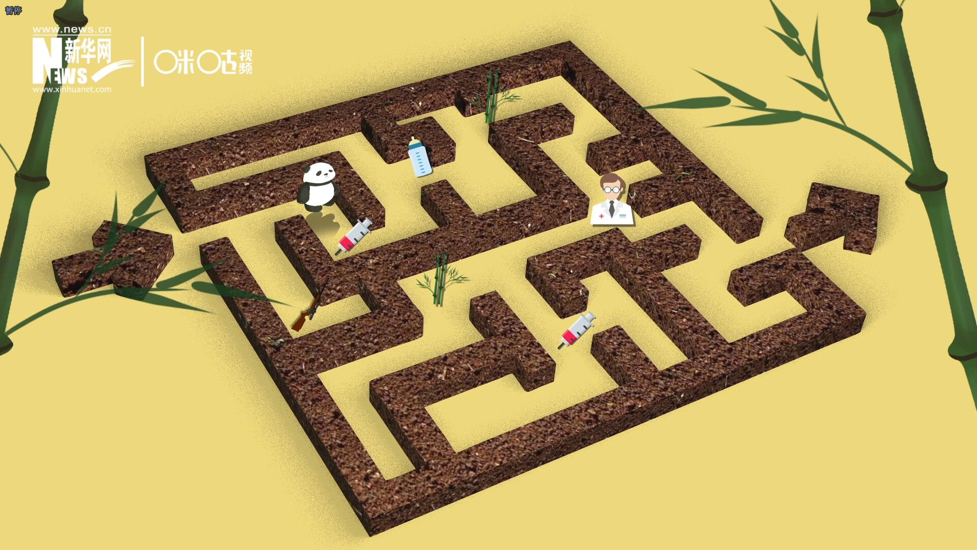 2016年，國際自然保護聯(lián)盟將大熊貓的物種瀕危等級，從&ldquo;瀕危&rdquo;下降到了&ldquo;易危&rdquo;。