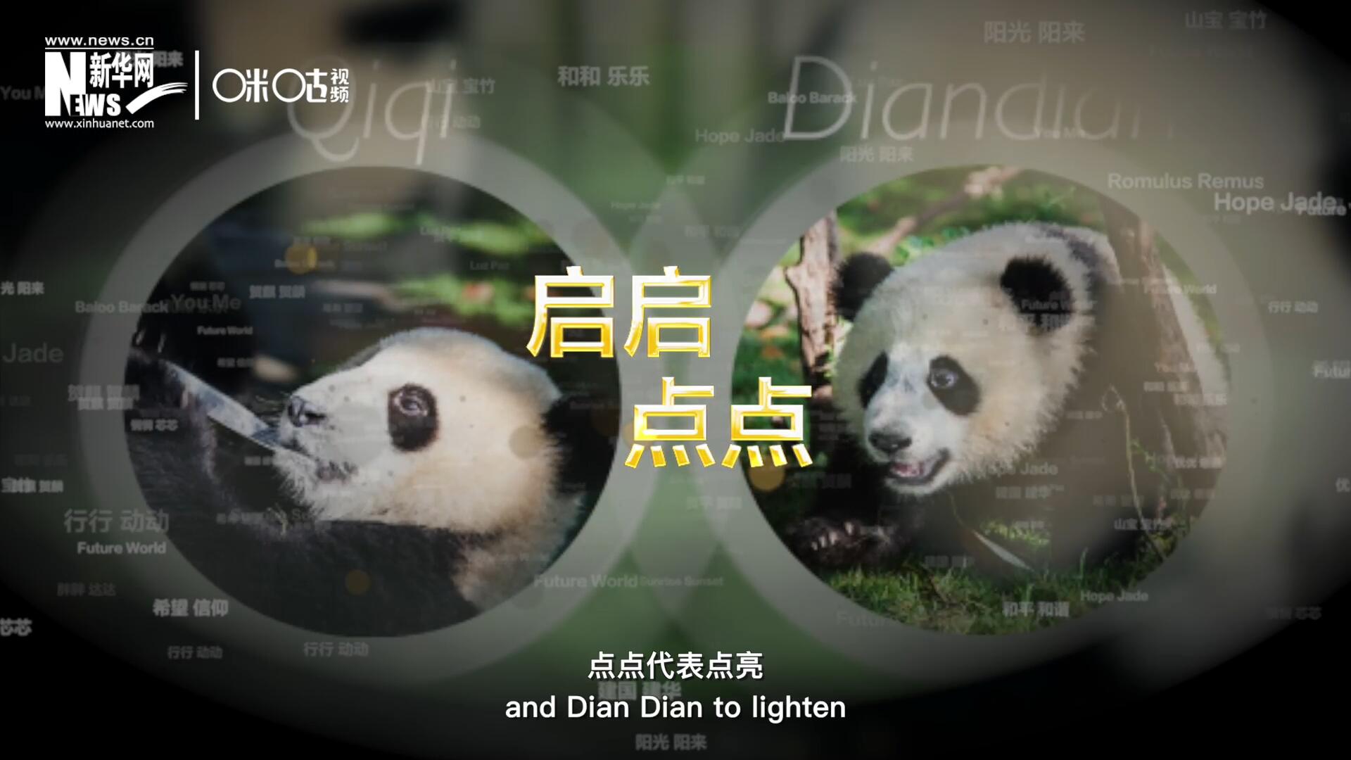 啟啟代表&ldquo;啟發(fā)&rdquo;，點點代表&ldquo;點亮&rdquo;，象征著2030年可持續(xù)發(fā)展議程 的&ldquo;起點&rdquo;，也象征著全球可持續(xù)發(fā)展路徑的新起點。