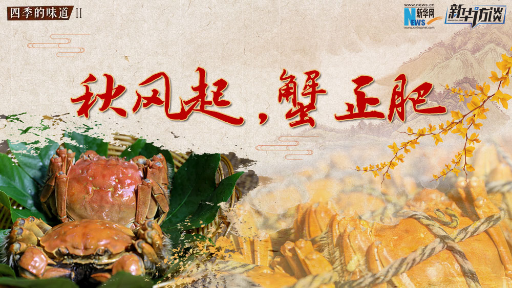 秋風(fēng)起，蟹正肥