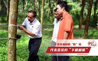 羊風極和樹的&ldquo;膠&rdquo;情