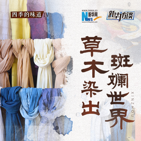 草木染出&ldquo;斑斕世界&rdquo;