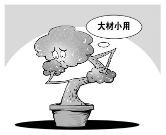 自認&ldquo;大材小用&rdquo;，不如腳踏實地