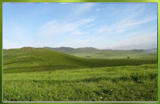豐寧壩上高原
