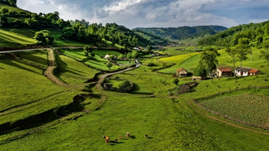 生態(tài)中國&middot;擁青攬翠三秦俊