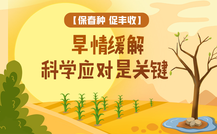 【保春種 促豐收】旱情緩解 科學應對是關(guān)鍵
