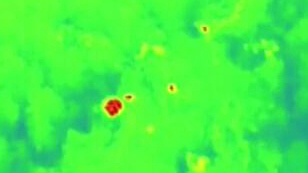 云南野生象群的奇幻之旅：紅外監測&mdash;&mdash;夕陽鄉大雨 象群抱團取暖