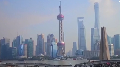 上海啟動&ldquo;數(shù)字伙伴計(jì)劃&rdquo; 助老年人跨越數(shù)字鴻溝