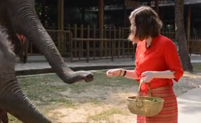 勐巴拉娜西！&ldquo;洋記者&rdquo;帶你游西雙版納