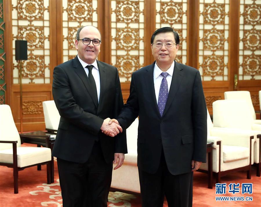 12月20日，全國人大常委會委員長張德江在北京人民大會堂會見摩洛哥參議長本希馬。新華社記者劉衛(wèi)兵攝