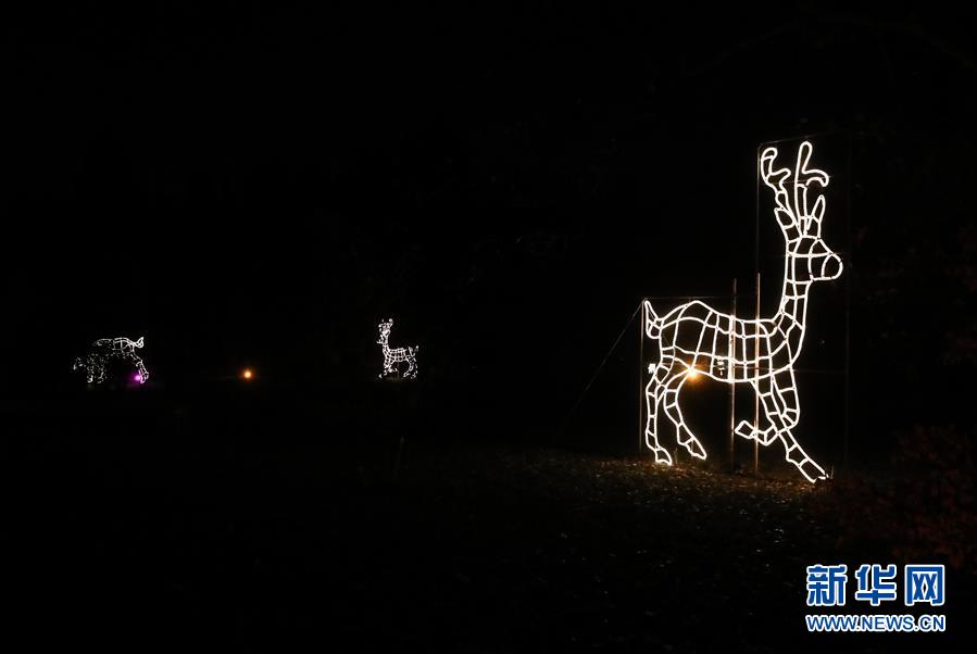 （國際）（5）&ldquo;柏林圣誕花園&rdquo;燈光秀開幕