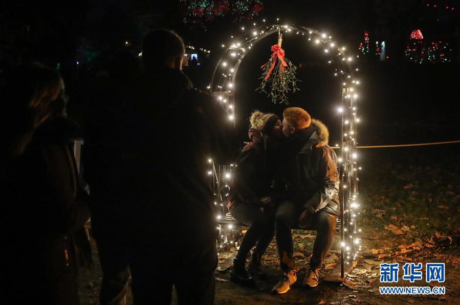 （國際）（6）&ldquo;柏林圣誕花園&rdquo;燈光秀開幕