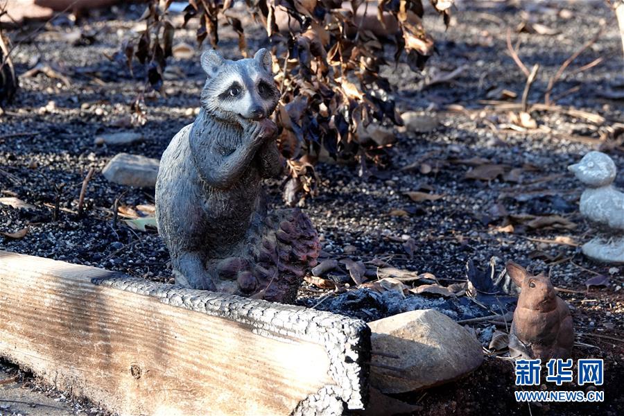 （國際&middot;圖文互動）（4）一場山火，讓這個冬天格外冷&mdash;&mdash;探訪美國加州山火災區(qū)