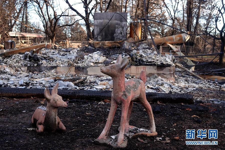 （國際&middot;圖文互動）（6）一場山火，讓這個冬天格外冷&mdash;&mdash;探訪美國加州山火災區(qū)