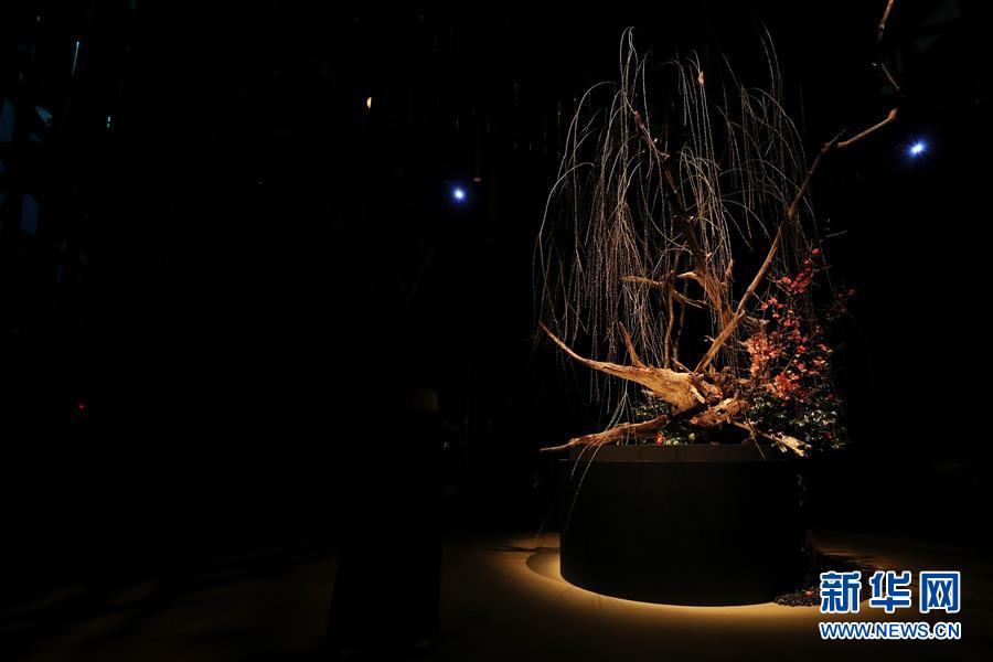 （國際）（5）日本東京：寒冬時節(jié)賞&ldquo;繁花&rdquo; 