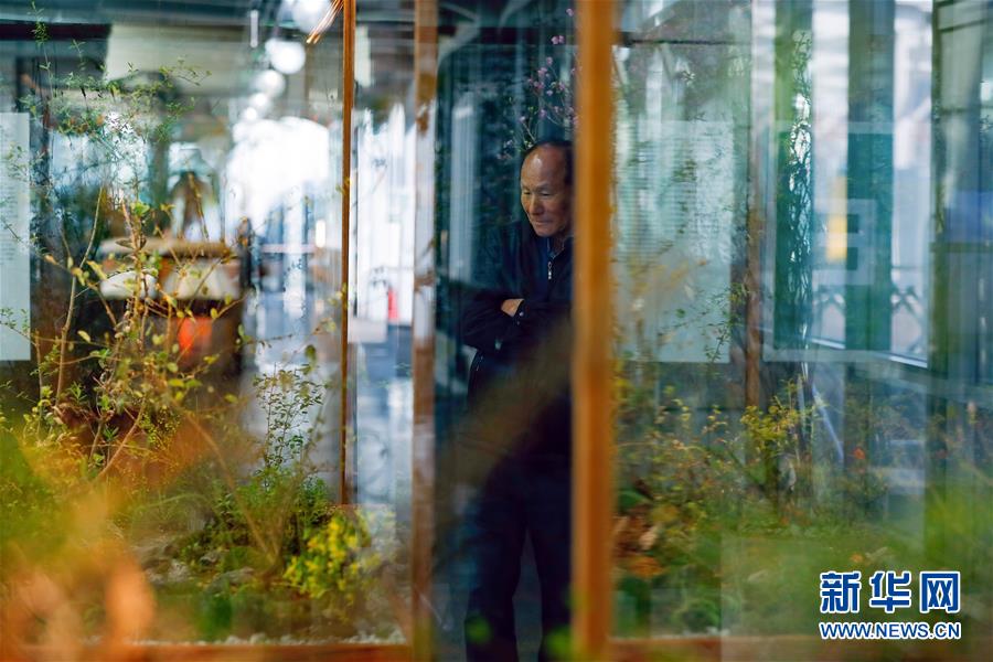 (國際·圖文互動)(4)通訊:敲響半島和平鐘聲——走訪韓朝非軍事區首爾藝術展