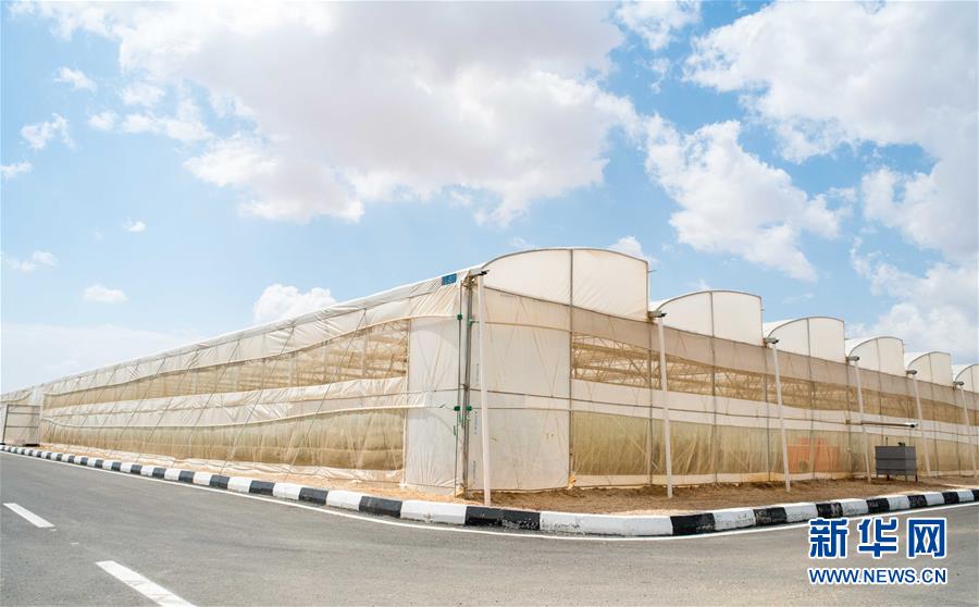 (國際·“一帶一路”高峰論壇·圖文互動)(1)荒漠正在成為瓜果飄香的綠洲——記中國國機重工埃及現代農業溫室項目