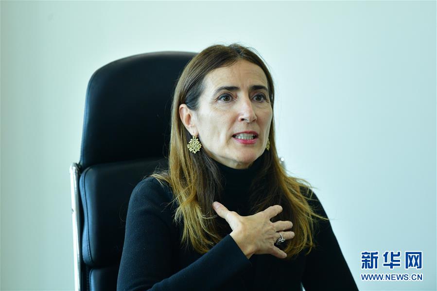 （國際 圖文互動）（1）專訪：應對氣候變化應從談判轉向行動&mdash;&mdash;訪2019年聯合國氣候變化大會主席施密特