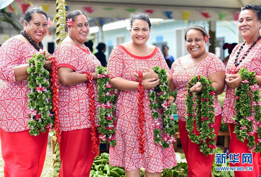 （國際&middot;圖文互動(dòng)）（2）&ldquo;中國-太平洋島國旅游年&rdquo;成果顯著