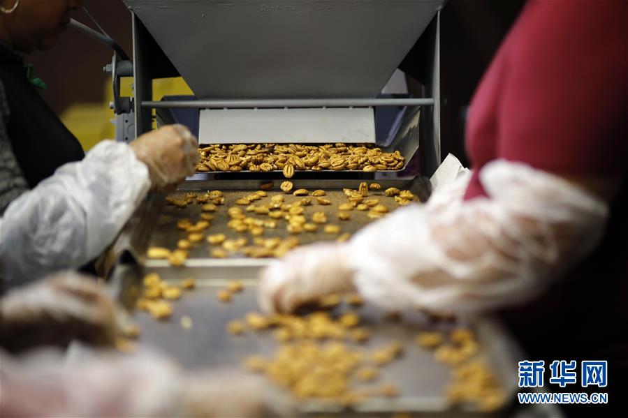 （國際&middot;圖文互動）（8）通訊：期待美中盡早達成貿易協議&mdash;&mdash;颶風和關稅夾擊下的美國山核桃種植戶盼重回中國市場