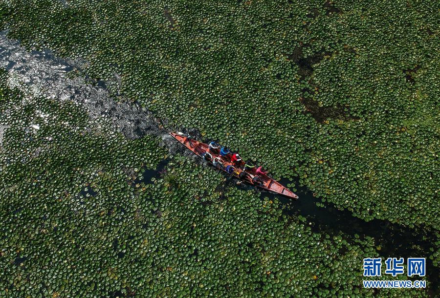 （國際&middot;年終報道）（8）2019，精&ldquo;彩&rdquo;紛呈