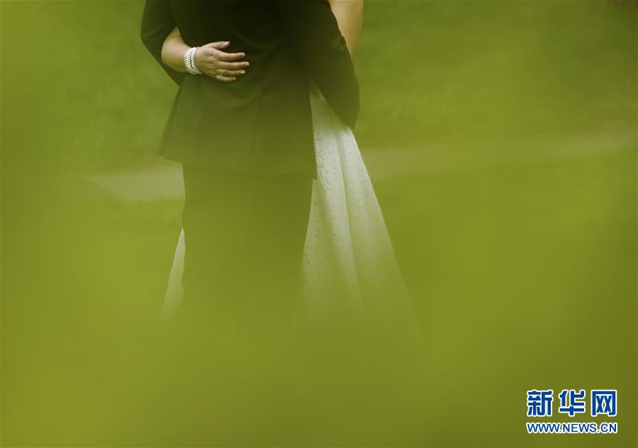 （國(guó)際&middot;年終報(bào)道）（13）2019，精&ldquo;彩&rdquo;紛呈