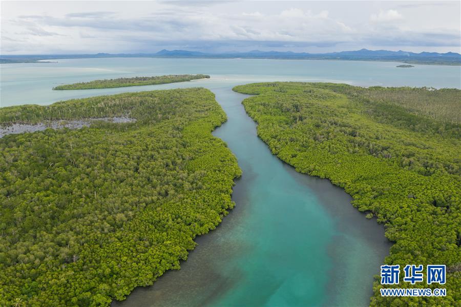 （國(guó)際&middot;海外中國(guó)人追夢(mèng)故事）（2）李嘉文：我在印尼當(dāng)&ldquo;島主&rdquo;