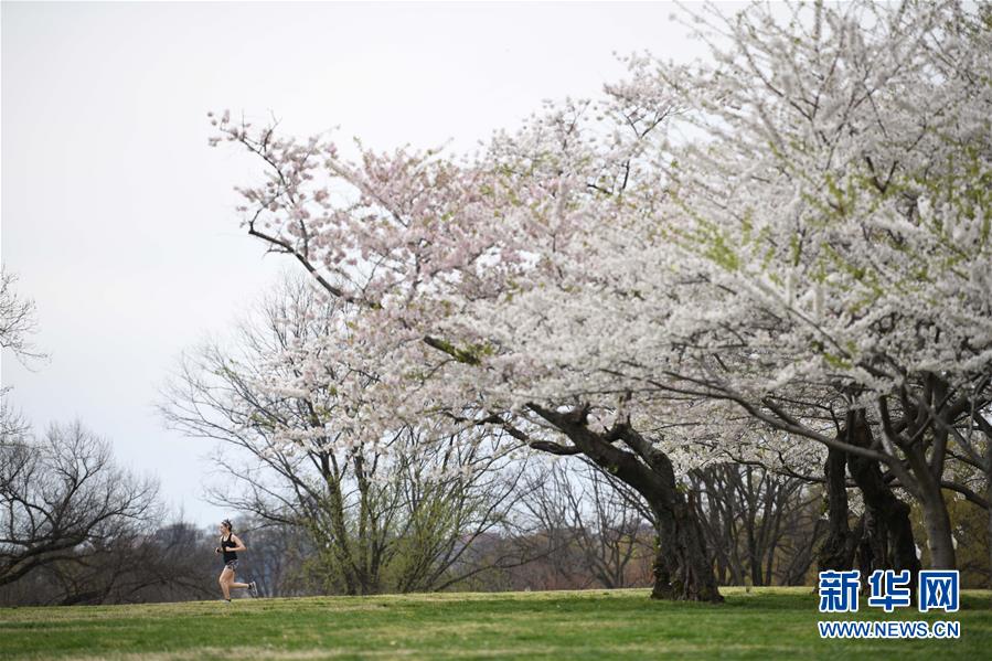 （國際疫情）（3）約翰斯&middot;霍普金斯大學(xué)：美國新冠肺炎確診病例超10萬例