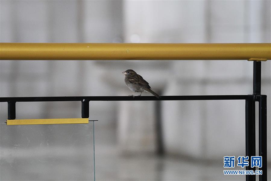 （國際疫情）（5）約翰斯&middot;霍普金斯大學：美國新冠肺炎確診病例超過14萬例